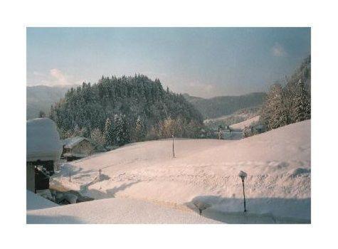 Sport Alpin Wohnung 1 Oberstdorf Exterior foto